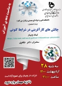 برنامه های هفته آموزش 4