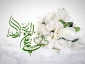 سالروز ازدواج حضرت علی(ع) وحضرت فاطمه(ع) خجسته باد