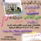 اطلاعیه تمدید مهلت ثبت نام کاردانی به کارشناسی ۱۴۰۱